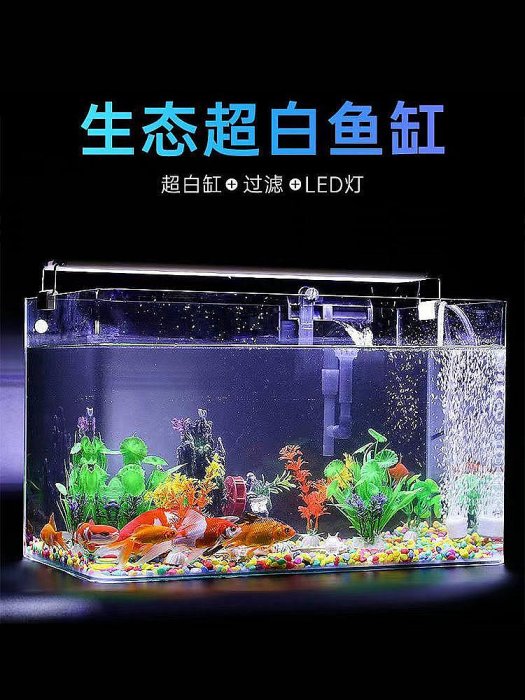 【現貨】熱彎玻璃金魚缸小型客廳家用長方形龜缸生態造景水族箱超白缸
