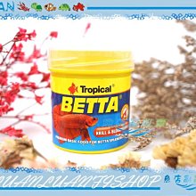 【~魚店亂亂賣~】U-T77062德比克Tropical鬥魚綜合飼料50ml(鬥魚.彩兔.小型魚專用赤蟲薄片飼料)