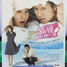 影音大批發-S40-002-正版DVD-韓劇【狐狸你在做什麼／共6片16集】-安在旭 黃心惠 權五中(直購價)