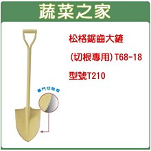 【蔬菜之家滿額免運009-B16】松格鋸齒大鏟(切根專用)T68-18(型號T210)※此商品運費適用宅配※