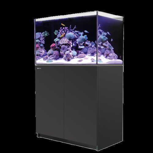 【♬♪貓的水族♪♬】R-D-350B 以色列 Red Sea 紅海  REEFER 350 套缸 黑色