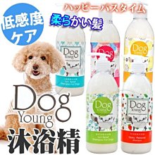 【🐱🐶培菓寵物48H出貨🐰🐹】美國Dog Young》犬用沐浴精保養系列-500ml  特價329元