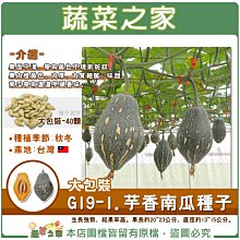 【蔬菜之家滿額免運00G19-1】大包裝.芋香南瓜種子 40顆 ※不適用郵寄掛號配送※請選擇超商或宅配運送※