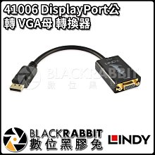 數位黑膠兔【 LINDY 林帝 41006 DisplayPort公 轉 VGA母 轉換器 】