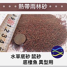 微笑的魚水族☆水草造景【熱帶雨林砂 1kg】鼠砂 底沙 熱帶雨林沙 鼠沙 底棲魚、異型用