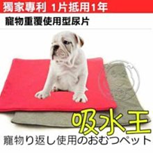 【🐱🐶培菓寵物48H出貨🐰🐹】拜客》重覆使用超吸水寵物尿墊S號4-7kg顏色隨機(環保|省錢)特價399元