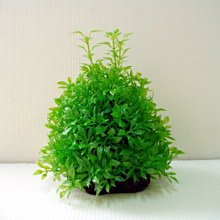 微笑的魚水族☆【SY-假水草 AQ-15cm 聖誕樹 #5】(單一價) 質感超自然