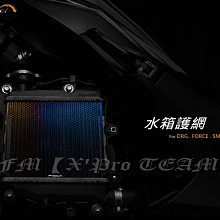 【LFM】APEXX 水箱護網 勁戰六代 DRG 水冷BWS NMAX FORCE SMAX 水箱網 水箱護罩 燒鈦