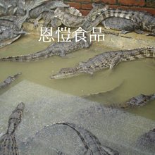 商品縮圖-4