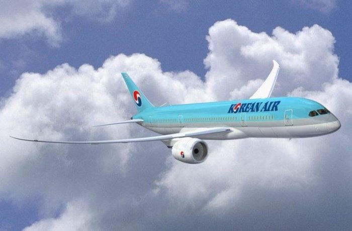 飛行夢想家**JC Wings 1/200 大韓航空Korean Air B787-9 HL8081