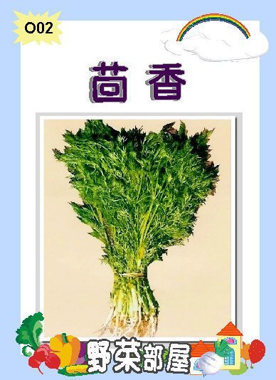 【野菜部屋~】O02 茴香種子10公克 ,容易種植 ,適合用於多種料理,也可泡茶 , 每包15元~~