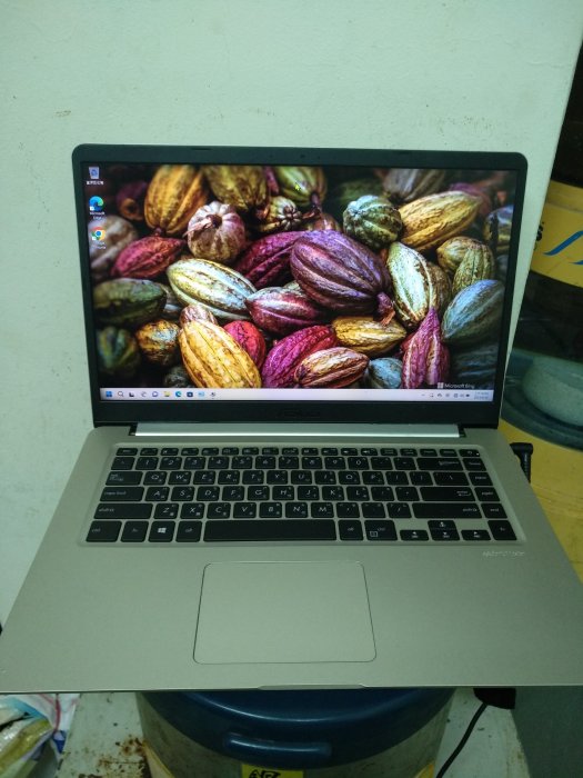 ASUS VivoBook S510UN(i5-8250U D4-8G 128G+500G)15.6吋1080P八核雙顯