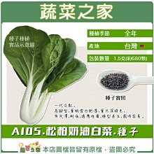 【蔬菜之家滿額免運】A105.松柏奶油白菜種子 1.5克(約680顆) // 牛奶白菜，一代交配。高腳型，葉柄雪白肥厚