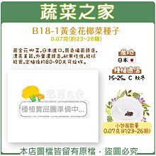 【蔬菜之家滿額免運】B18-1.黃金花椰菜種子0.07克(約23~26顆)(黃金花椰菜 ，日本進口，顏色偏黃綠色)