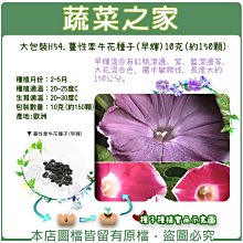 【蔬菜之家滿額免運00H54】大包裝.蔓性牽牛花種子(早輝) 10克(約150顆)※此商品不適用郵寄掛號※