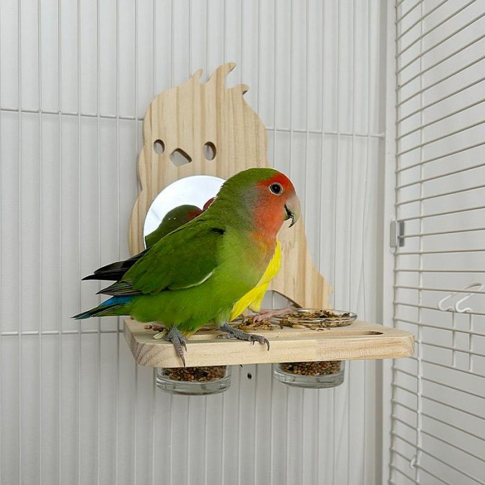 小鳥鏡子鸚鵡食盒鳥喂食器原木風干飯站臺玩具站架鳥籠用品
