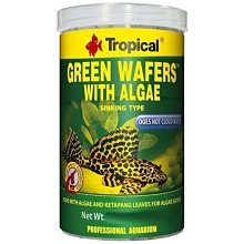 微笑的魚水族☆Tropical-德比克【異型.底棲魚完美全餐 250ml】U-T66424