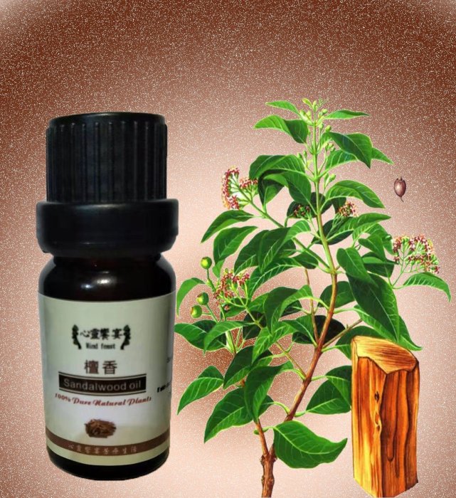 南印度檀香精油Indian sandalwood 100ml