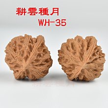 商品縮圖-6