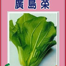 【野菜部屋~】A04 日本廣島菜種子1.7公克 , 日本名菜 , 每包15元~
