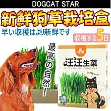 【🐱🐶培菓寵物48H出貨🐰🐹】汪喵星球》天然ㄟ尚好新鮮狗草栽培盒-3盒/組自取不打折特價399元