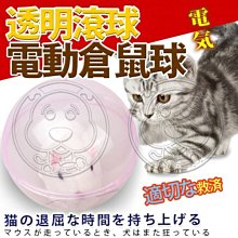 【🐱🐶培菓寵物48H出貨🐰🐹】dyy》透明滾球滾動倉鼠球電動萬向倉鼠寵物玩具 特價149元