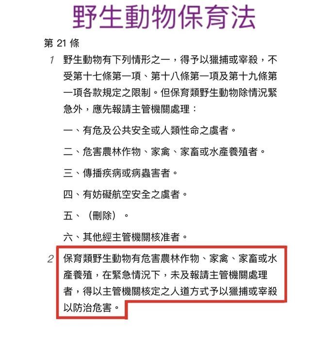 【領航員會館】合法驅趕動物！威力強大！SDP1911鎮暴槍CO2槍安全防衛防身手槍行車糾紛驅離驅除綠鬣蜥驅猴野生台灣獼猴