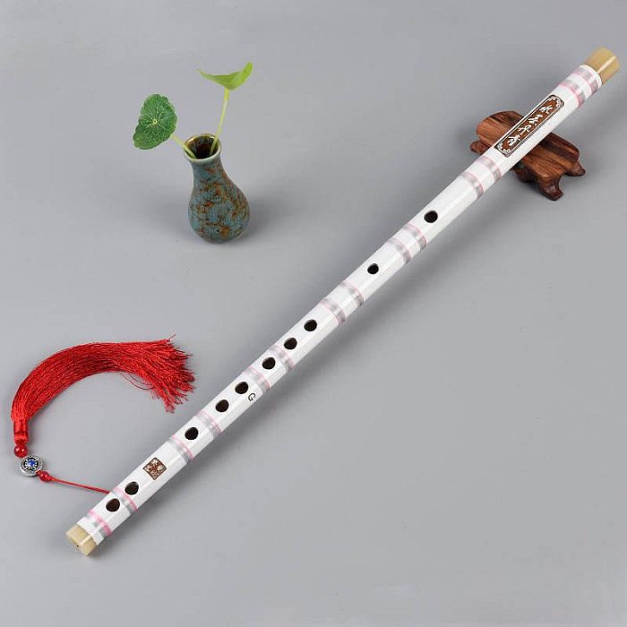 長笛樂器初學者笛子初學成人零基本橫笛