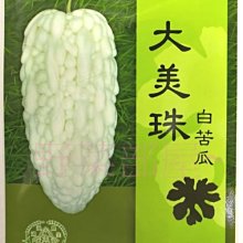 【野菜部屋~】K04 大美珠白苦瓜種子1粒 , 買3送1 , 耐病性強 , 產量特高 , 每包15元 ~