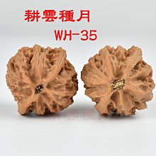 商品縮圖-5