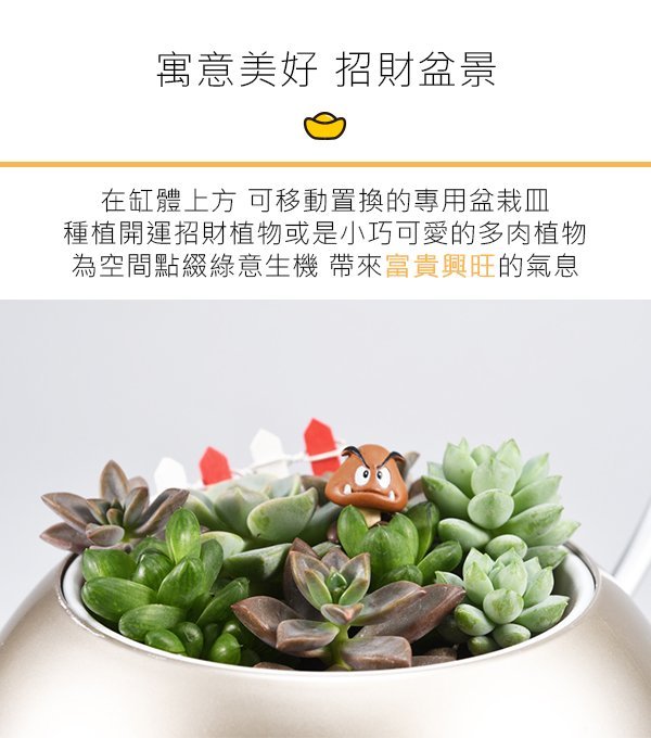 【愛拉風】ARKY 香草與寶 2.0 [智能版] Herb&Rich Connect. 風水開運 每日抽籤 開運存錢筒