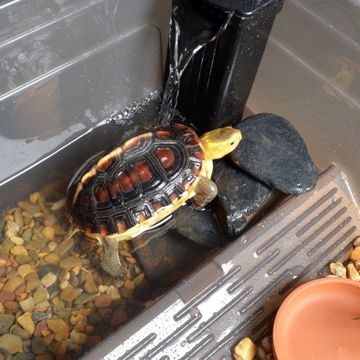 特價烏龜缸用品飼養箱造景生態超大號缸水陸兩棲半水龜躲避龜缸家用