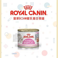 單罐（ROYAL CANIN皇家）主食濕糧餐罐。離乳貓與母貓。195g。奧地利製