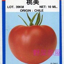 【野菜部屋~】L29 日本桃美蕃茄種子3粒 , 果實大 , 結果率佳 , 每包15元~