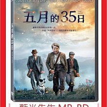 [藍光先生DVD] 五月的35日 THE PATH (寶騰正版)