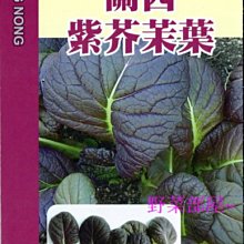 【野菜部屋~】H23 關西紫芥茉菜種子25公克 , 花和莖 , 葉皆可食用, 略帶芥茉味 ,每包170元~