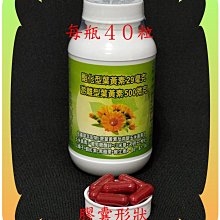 ４０粒專利金盞花萃取物含酯化型葉黃素(２９毫克)+山桑子+蝦紅素+玉米黃素+B群+鋅+小米草+黑醋栗【雅儒商行2館】