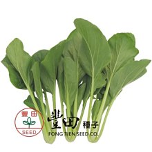 【野菜部屋~中包裝】E72 佳圓油菜種子50公克 , 株型直立 , 葉柄粗 , 採收快 , 每包160元~