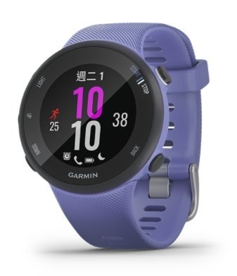 Garmin Forerunner 45S GPS腕式心率跑錶(錶徑 39mm) 台灣正版公司貨 享原廠保固