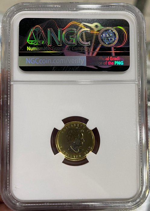 NGC-MS69 加拿大2013年楓葉1/10盎司金幣