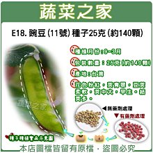 【蔬菜之家滿額免運】E18.豌豆(11號)種子25克(約140顆)荷蘭豆(花色粉紅，莢青翠，豆莢柔軟，莢中大，早生。)