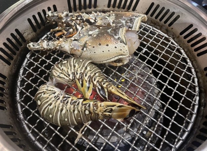 『極鮮味』【龍蝦/活凍龍蝦/生凍龍蝦/鮮凍龍蝦】海鮮直播、批發零售、筵席食材。※年菜最佳首選※