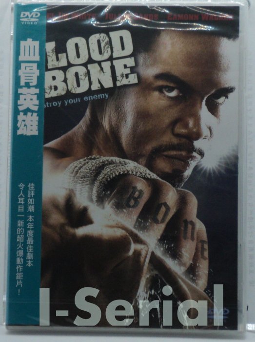 E5/ 全新正版DVD / 血骨英雄 BLOOD AND BONE (麥可傑懷特/朱利安山德斯)