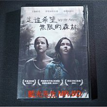 [DVD] - 走進希望無限的森林 Into The Forest ( 得利公司貨 )