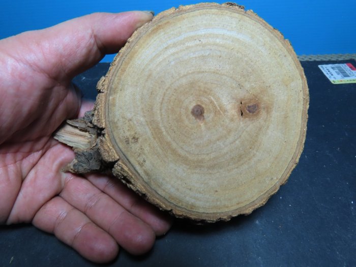 【競標網】天然漂亮樟木原木塊230公克(F06)(天天處理價起標、價高得標、限量一件、標到賺到)