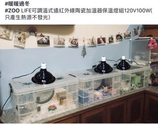 ZOO LIFE 可調溫式白金品質遠紅外線陶瓷加溫器120V100W保溫燈組(完全無光)贈送夾子