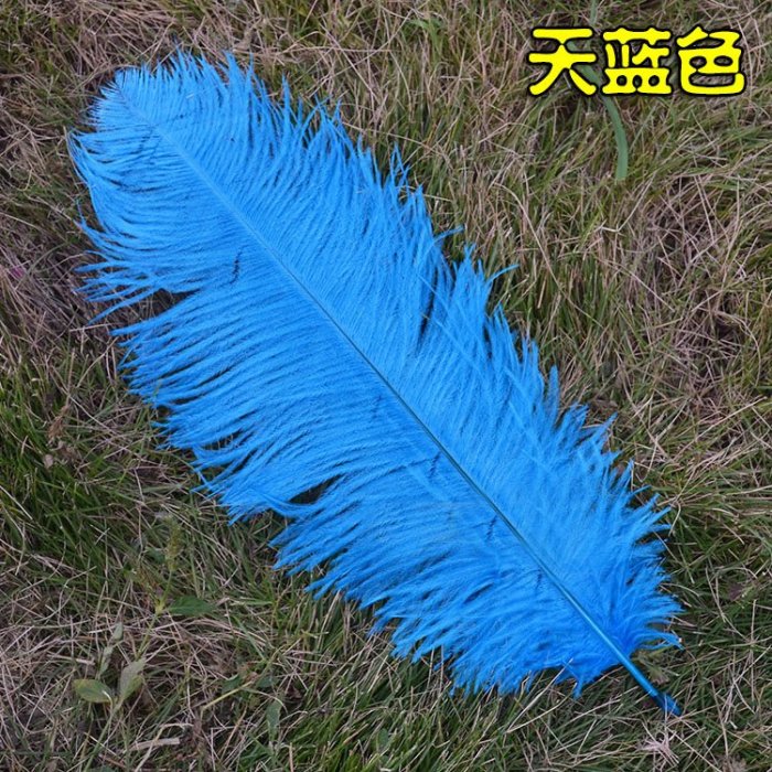 5色 羽毛 鴕鳥羽毛(40-45cm)DIY配件 硬羽毛 天然羽毛 軟羽毛 彩色羽毛 鴕鳥毛【P550021】塔克百貨