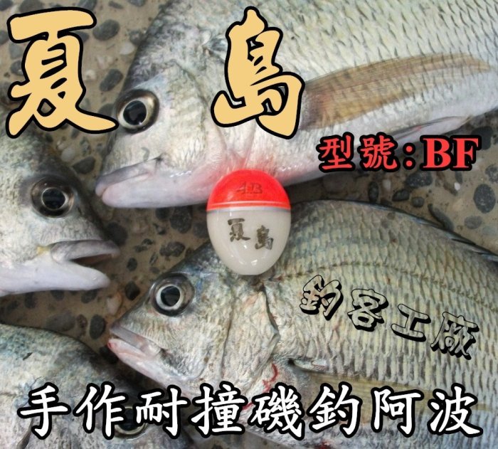 自作自售~手作磯釣阿波〜夏島 耐撞丹錐 (型號:BF)