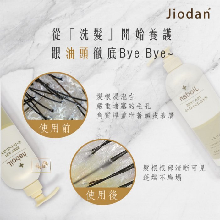 【美髮舖】Jiodan | 喬登胺基酸神護  清潔毛髮頭皮 清涼舒爽 自然蓬鬆1000ml