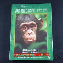 [DVD] - 黑猩猩的世界 Chimpanzee (得利正版) - [Disney Nature]